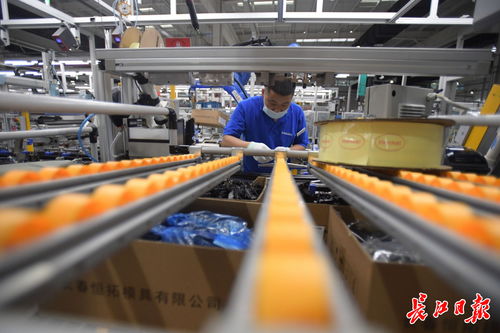 偉巴斯特武漢工廠提前投產，區域外資工業集聚效應凸顯