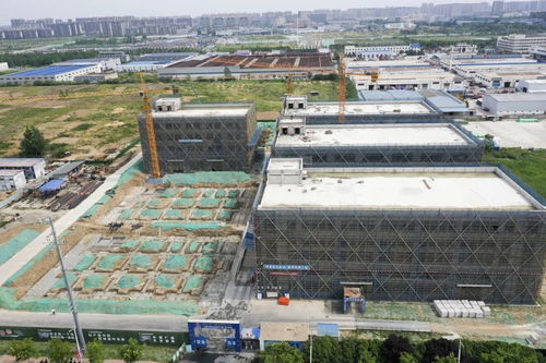 宿遷搶抓“它經濟”新風口 50億級寵物經濟產業園蓄勢待發